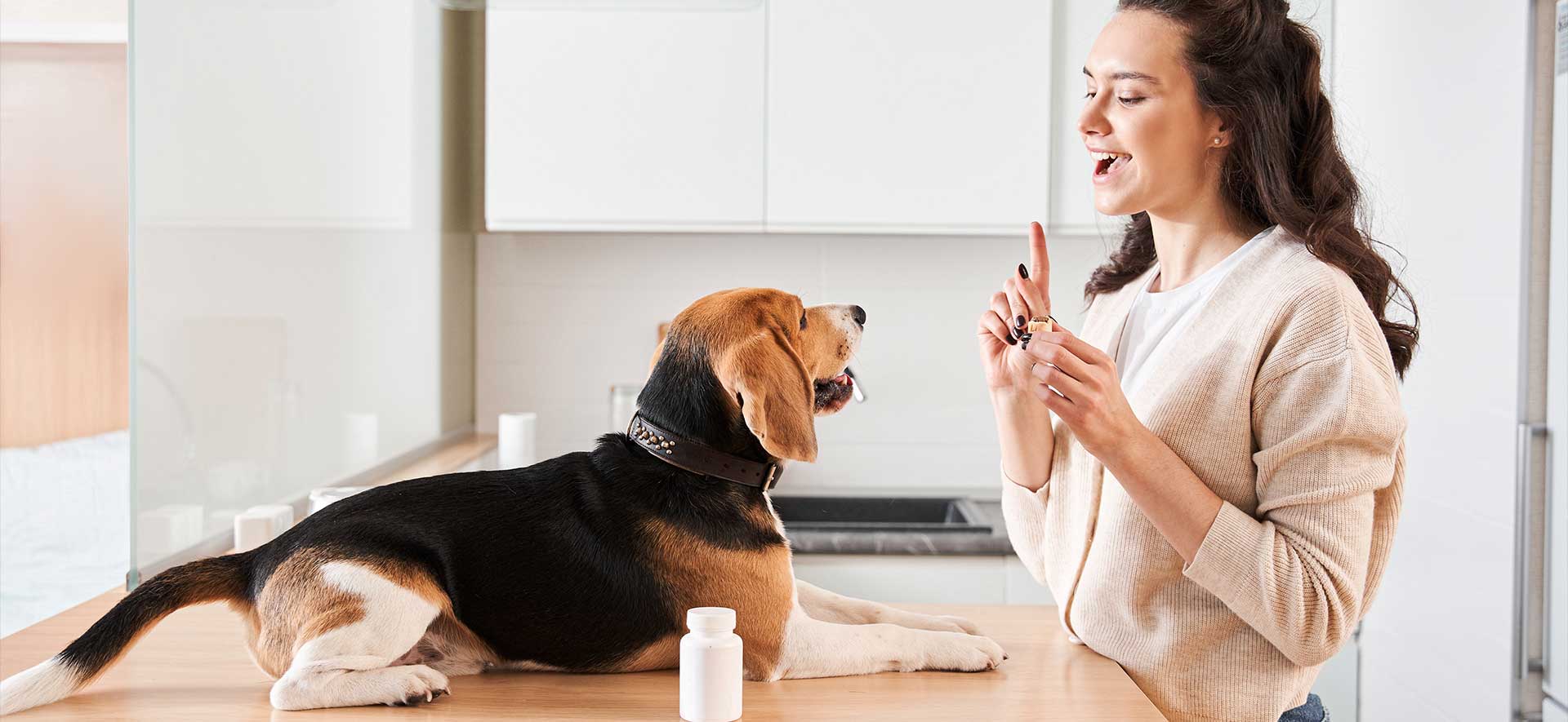 feliz día mamá perruna